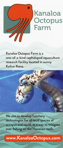 Kanaloa Octopus Farm